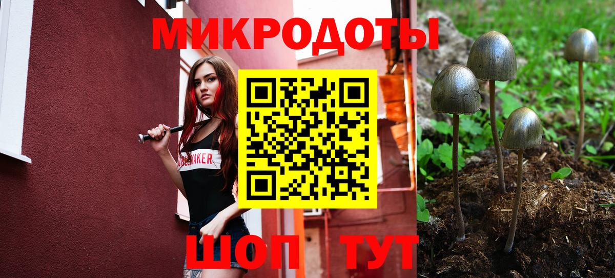 Галлюциногенные грибы мухоморы  Псилоцибиновые грибы MAGIC MUSHROOMS  Вход с VPN  наркотики  Наро-Фоминск 